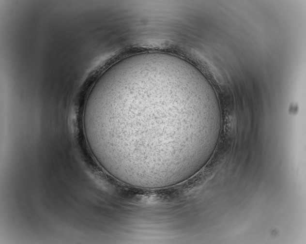 X0000102380688200808151858