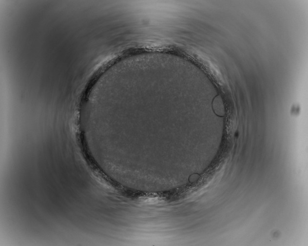 X0000102380689200808151858