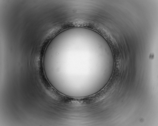 X0000102380690200808151858