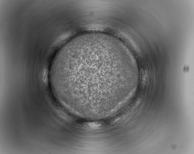 X0000102380692200808151858