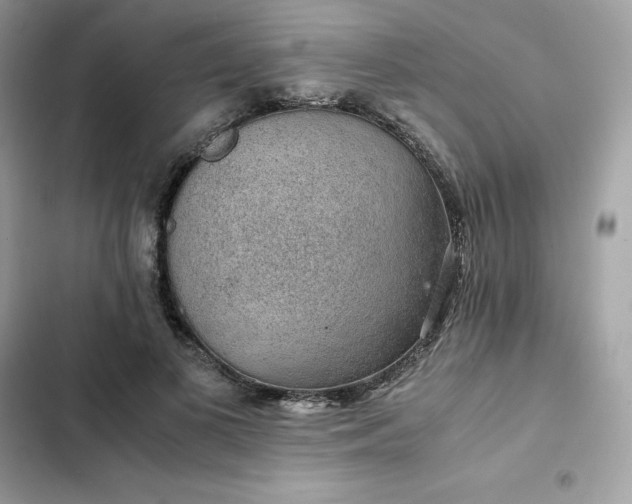 X0000102380693200808151858