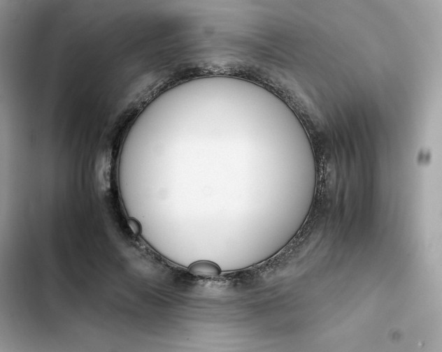 X0000102380694200808151858