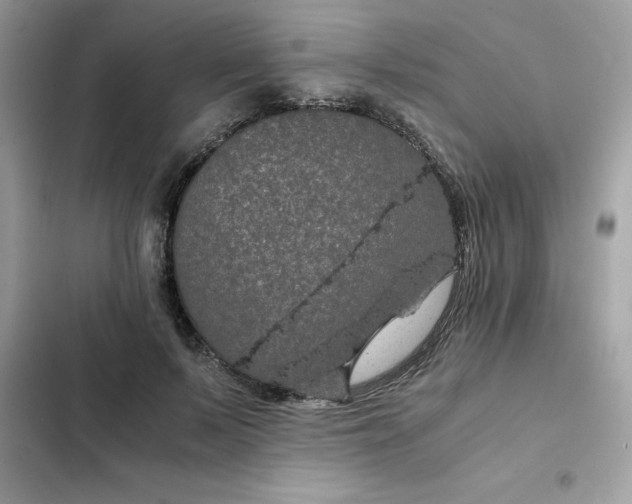 X0000102380695200808151858