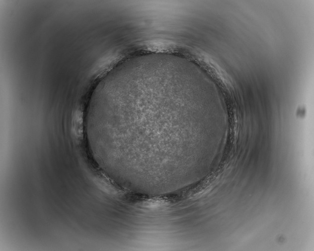 X0000102380696200808151858