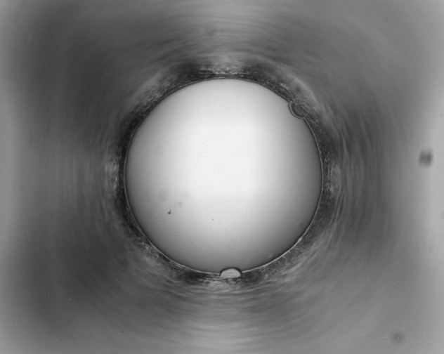 X0000102380697200808151858