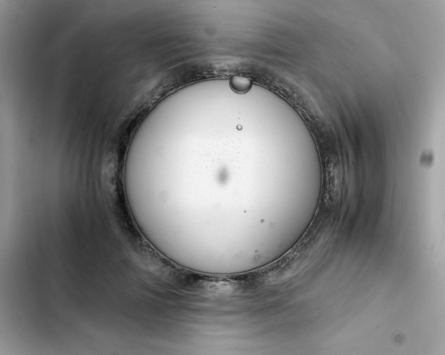 X0000102380698200808151858