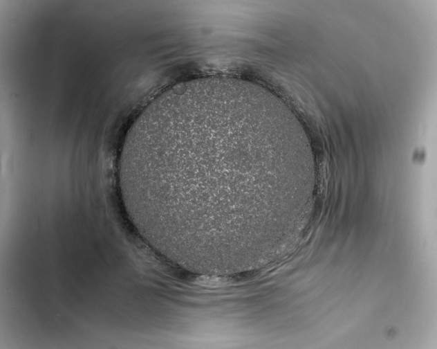 X0000102380699200808151858