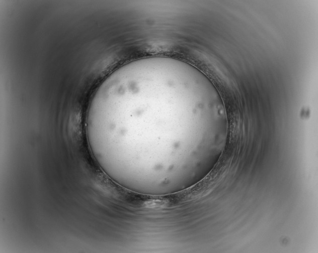 X0000102380700200808151858