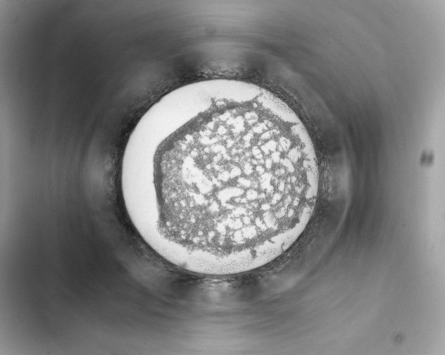 X0000102380701200808151858