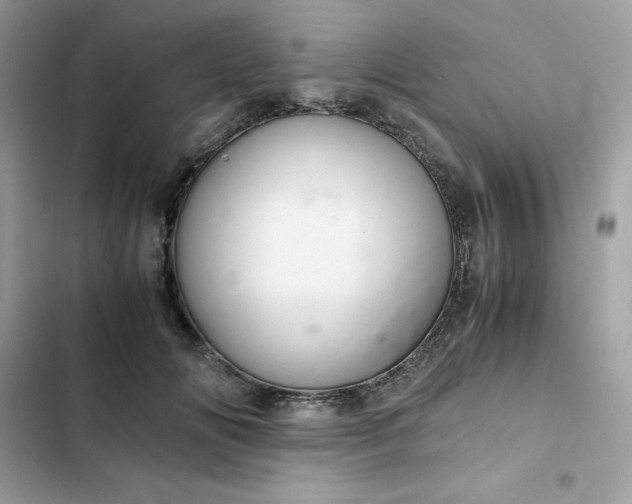 X0000102380702200808151858