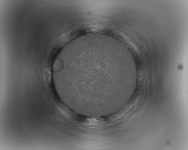 X0000102380703200808151858