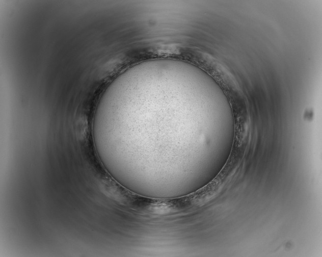 X0000102380704200808151858