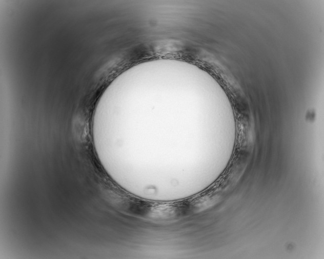 X0000102380705200808151858