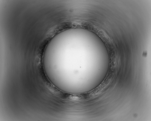 X0000102380706200808151858