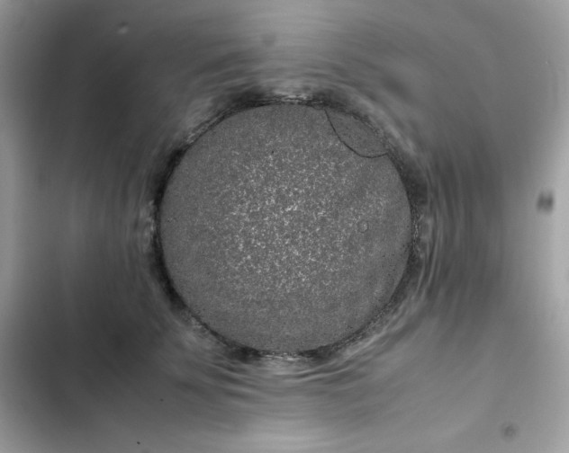 X0000102380707200808151858