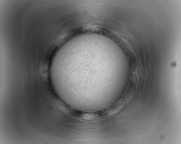 X0000102380708200808151858