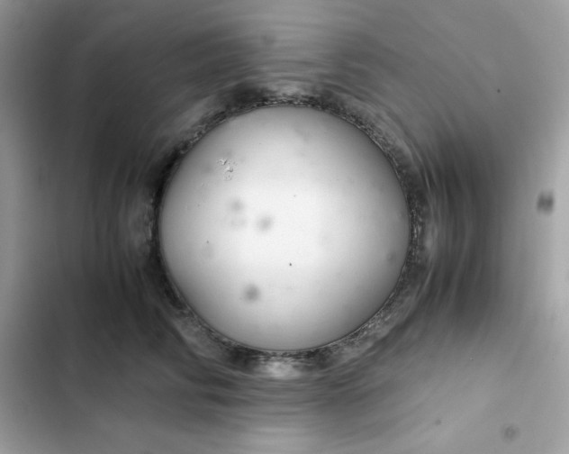 X0000102380710200808151858