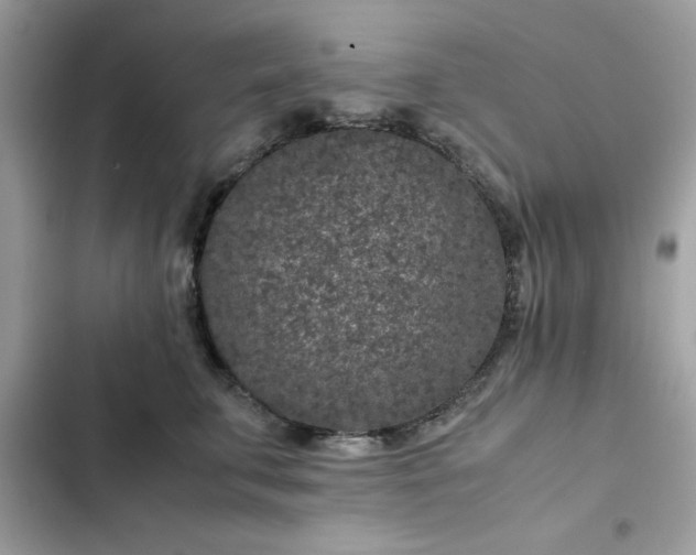 X0000102380711200808151858