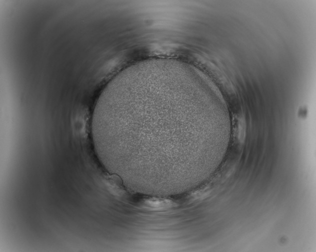 X0000102380712200808151858