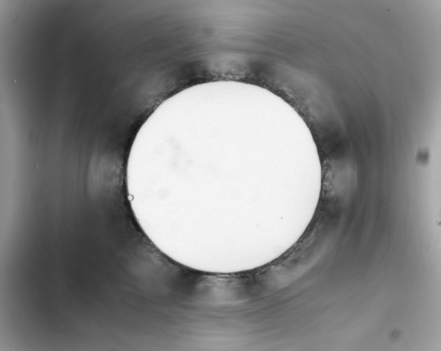 X0000102380713200808151858