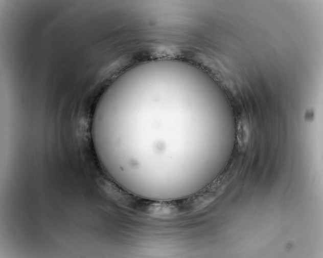 X0000102380714200808151858