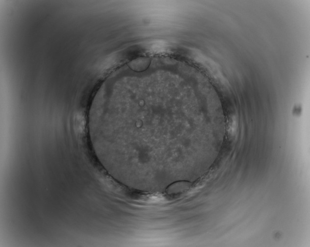 X0000102380715200808151858