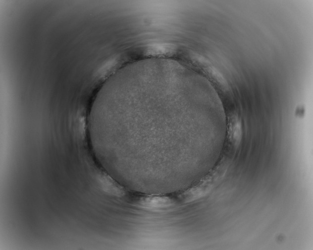 X0000102380716200808151858