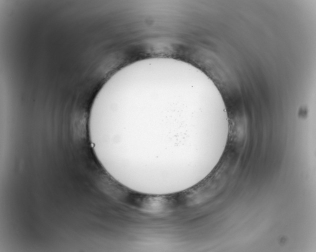 X0000102380717200808151858