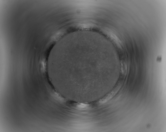 X0000102380718200808151858