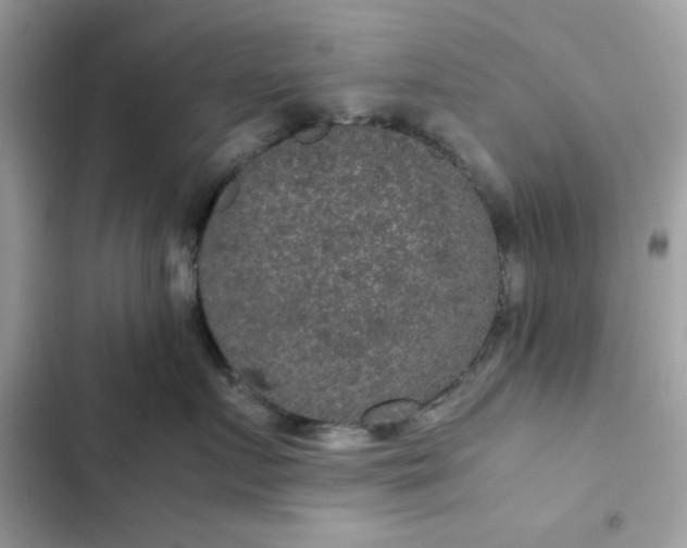 X0000102380719200808151858