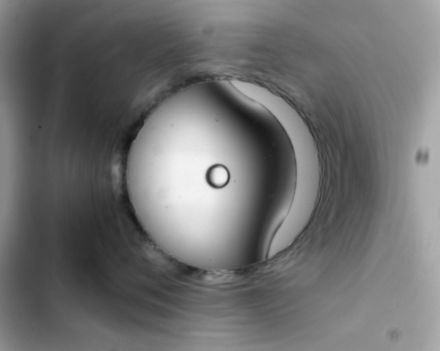 X0000102380720200808151858