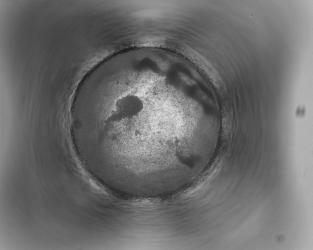 X0000102380721200808151857