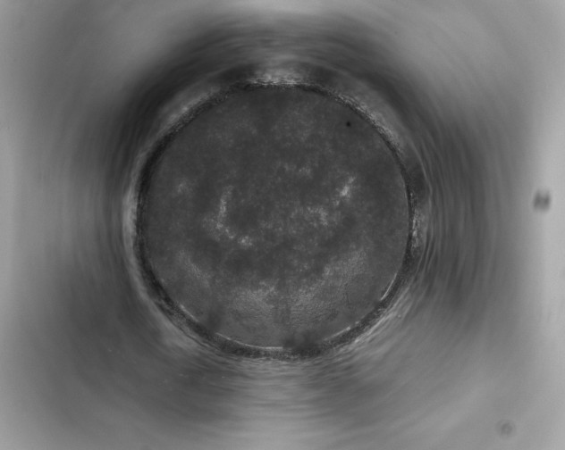 X0000102380722200808151857