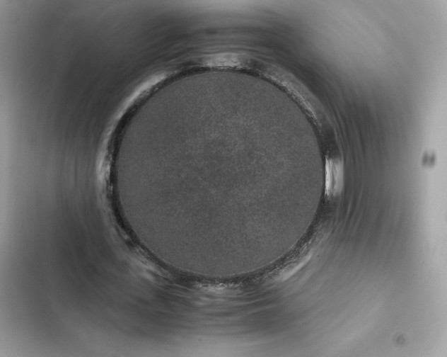 X0000102380723200808151857