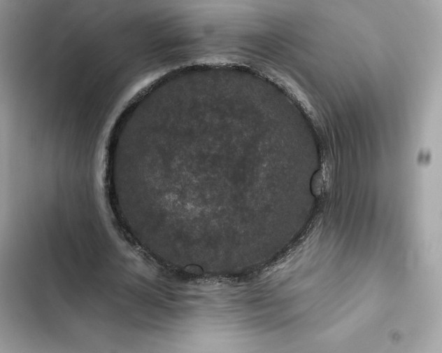 X0000102380724200808151857