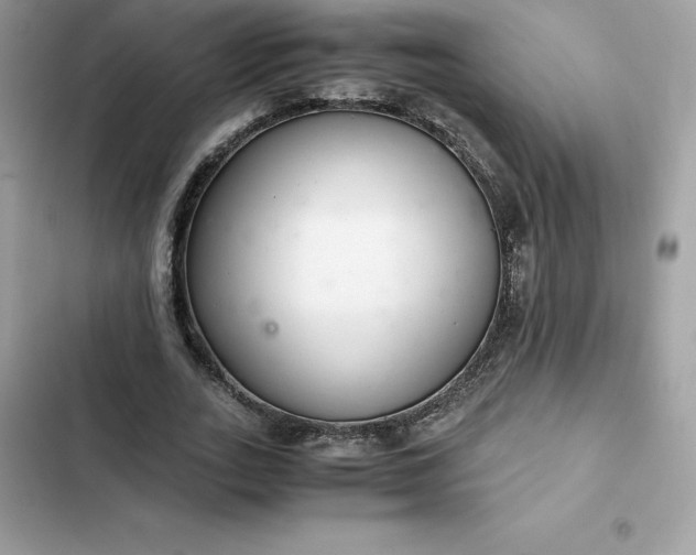 X0000102380727200808151857