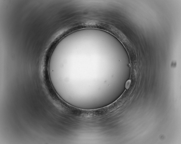 X0000102380728200808151857