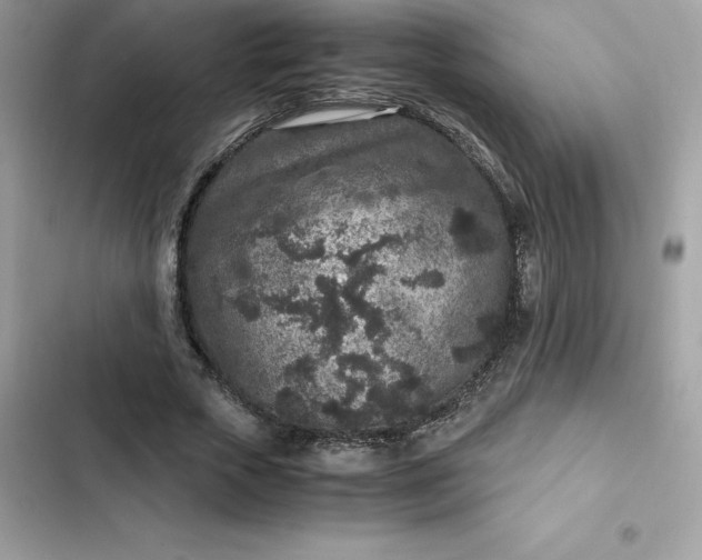 X0000102380729200808151857