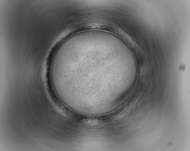 X0000102380730200808151857