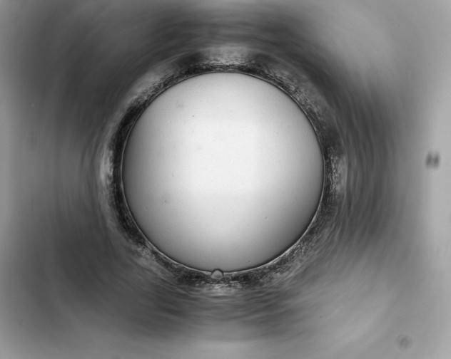 X0000102380731200808151857