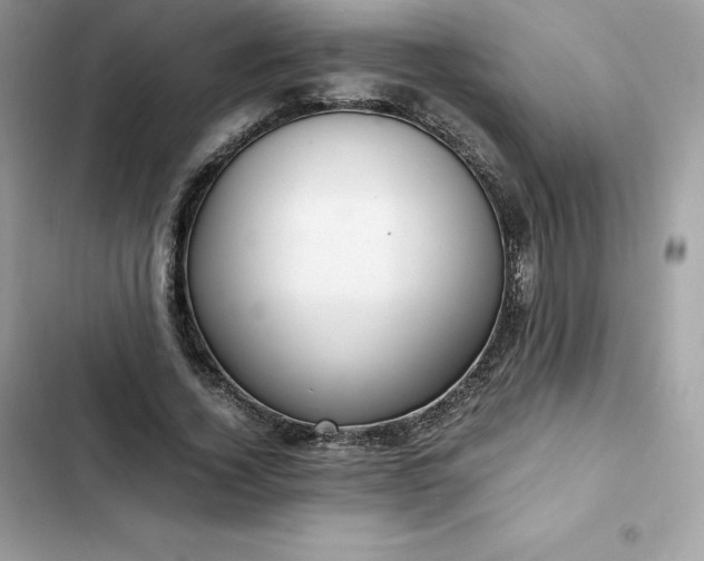 X0000102380732200808151857