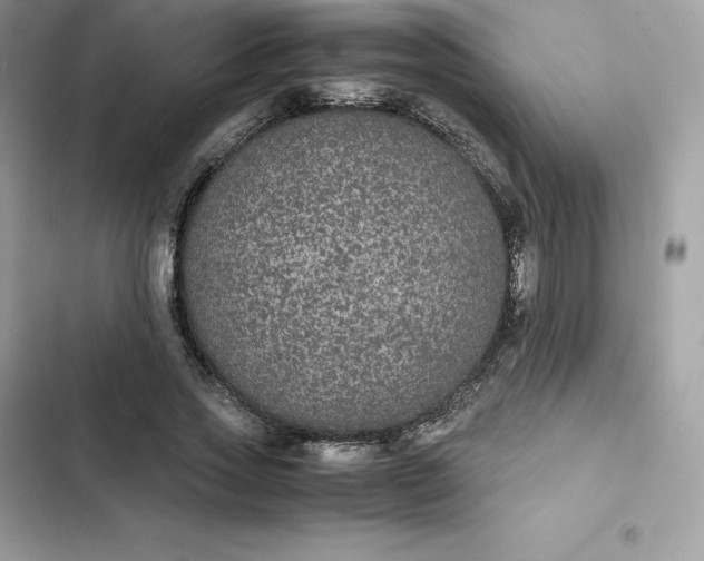 X0000102380733200808151857