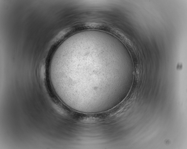 X0000102380734200808151857