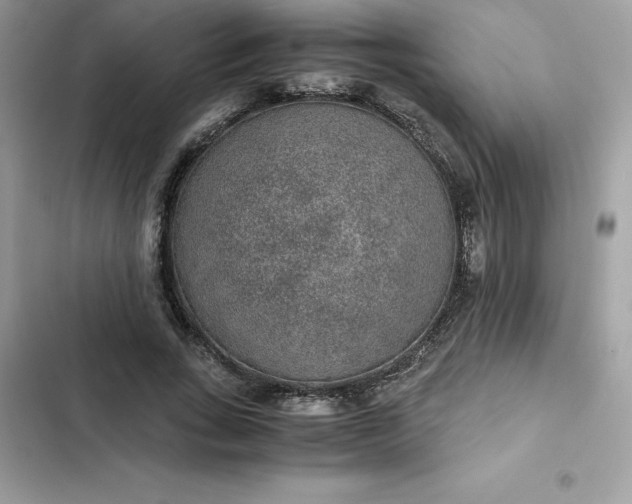 X0000102380735200808151857