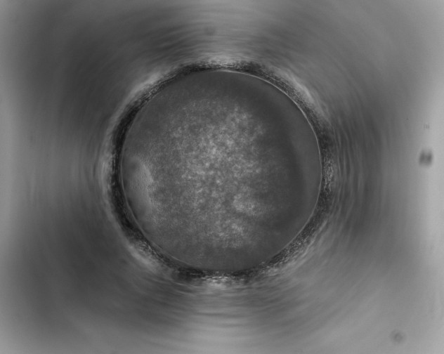 X0000102380736200808151857