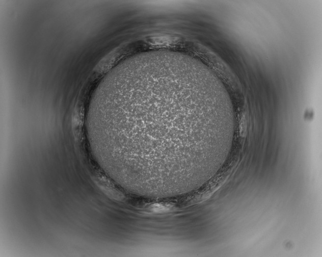 X0000102380737200808151857