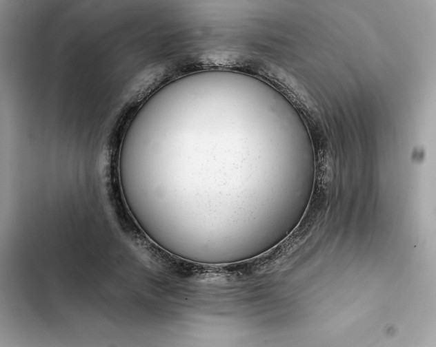 X0000102380738200808151857