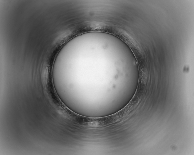 X0000102380740200808151857