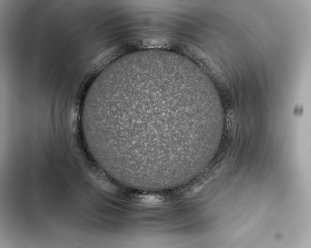 X0000102380741200808151857