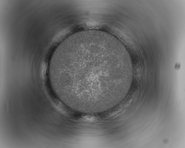 X0000102380742200808151857